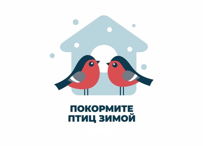 Продолжается прием заявок на участие в акции "Покормите птиц зимой"