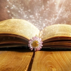 Подведены итоги конкурса "По страницам любимых книг"